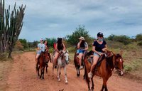 TuboHotel-Tours en caballo